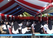 Semua yang Perlu Anda Ketahui tentang Seleksi dan Pengumuman PPPK 2024 Tahap 1 dan Tahap 2