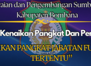 Jangan Lewatkan Kesempatan Kenaikan Pangkat Jabatan Fungsional di Kabupaten Bombana