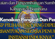Usul Kenaikan Pangkat bagi PNS yang Dipekerjakan di Luar Instansi Induk di Kabupaten Bombana