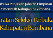 Persyaratan Seleksi Terbuka Jabatan Tinggi Di Bombana