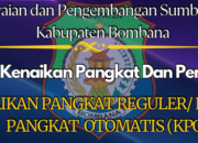 Syarat Kenaikan Pangkat Reguler atau Kenaikan Pangkat Otomatis KPO di Kabupaten Bombana