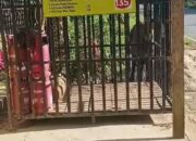 Pencurian 85 Tabung Gas di Poleang Timur,Pelaku Beraksi Tanpa Jejak