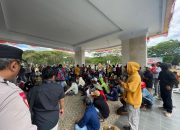 Petani Bombana Teriak Harga Gabah Anjlok, Bulog Disorot, DPRD dan Pemda Terjepit