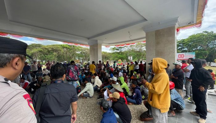 Petani Bombana Teriak Harga Gabah Anjlok, Bulog Disorot, DPRD dan Pemda Terjepit